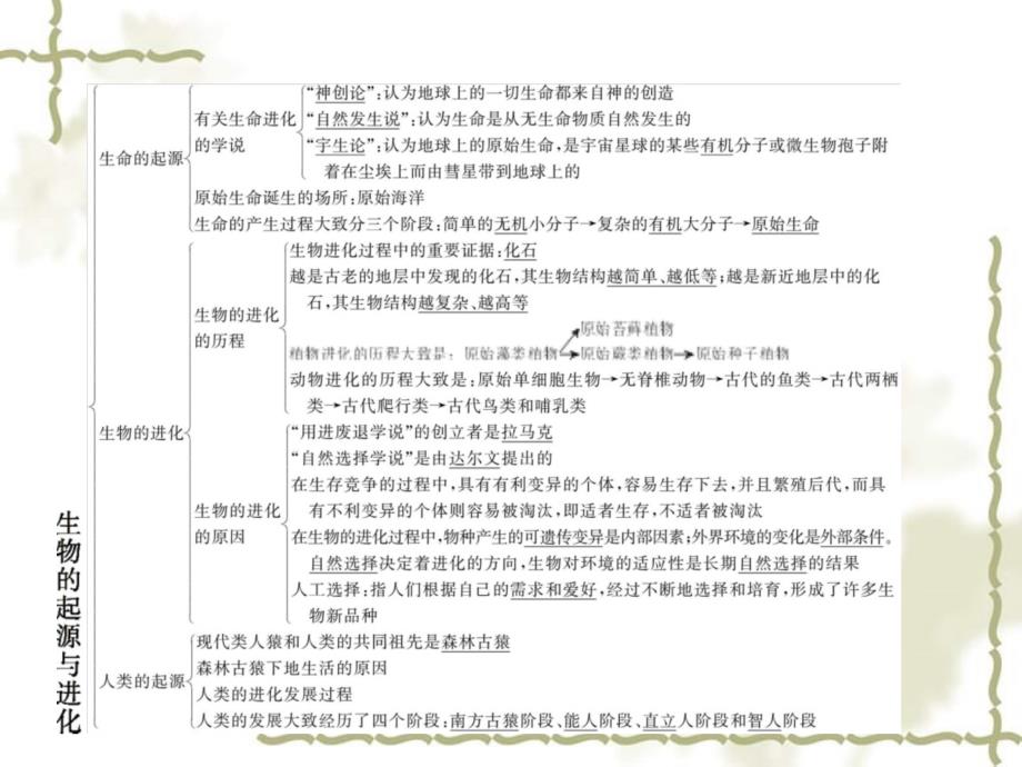 八级生物下册 第六单元 第三 四章整合课件 （新）冀教_第3页