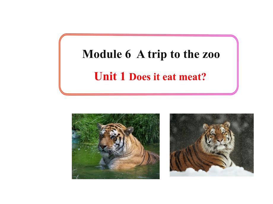 Module 6 A trip to the zoo Unit 1(外研版七年级上册)课件_第1页