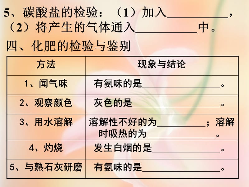 九级化学物质的检验和鉴别 课件_第4页