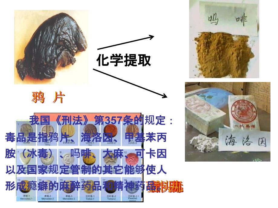 珍爱生命-远离毒品 主题班会ppt课件_第4页