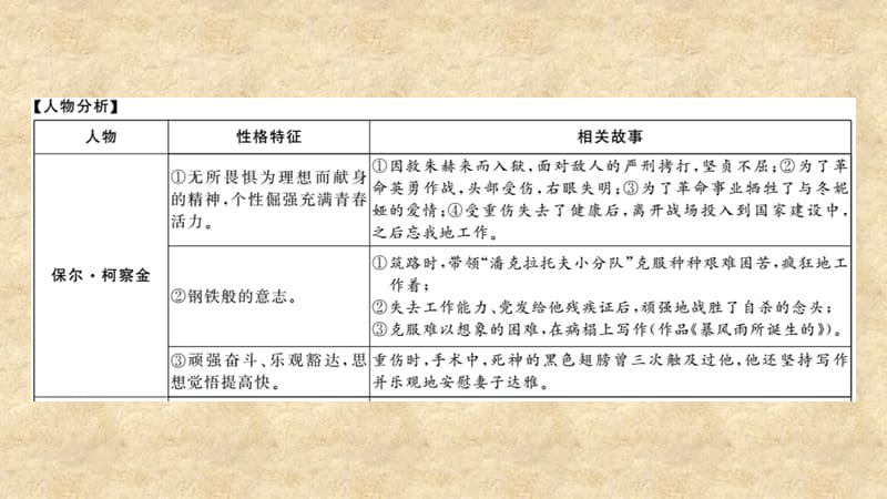 2019中考语文 名著导读专题讲解（八）钢铁是怎样炼成的课件 新人教版_第4页