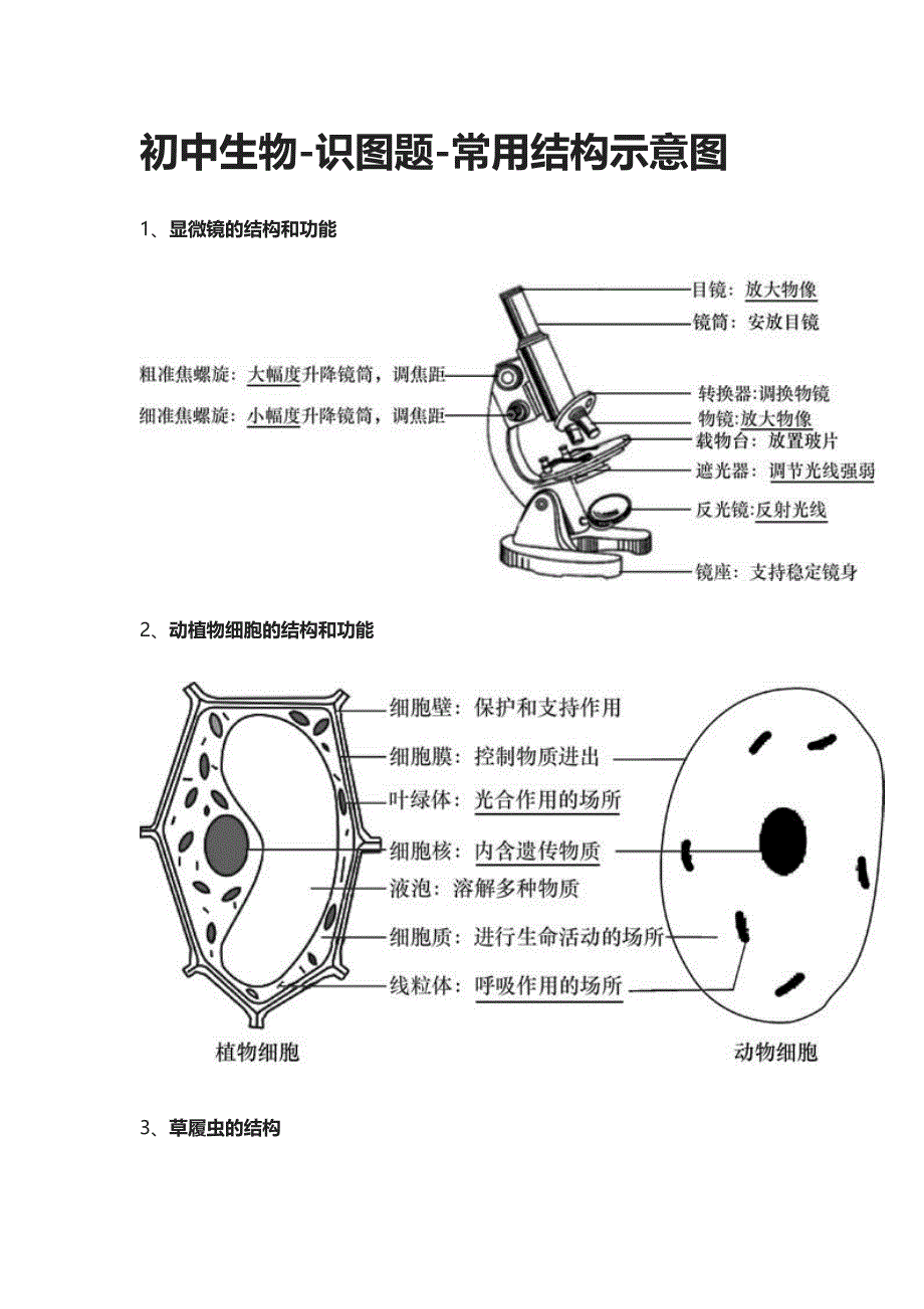 (全)初中生物-识图题-常用结构示意图_第1页