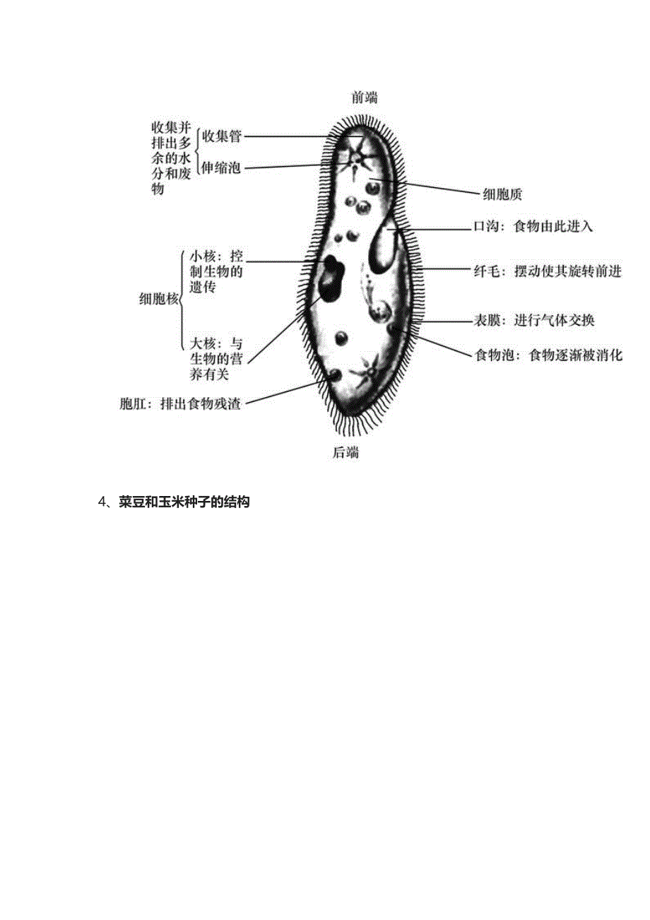 (全)初中生物-识图题-常用结构示意图_第2页