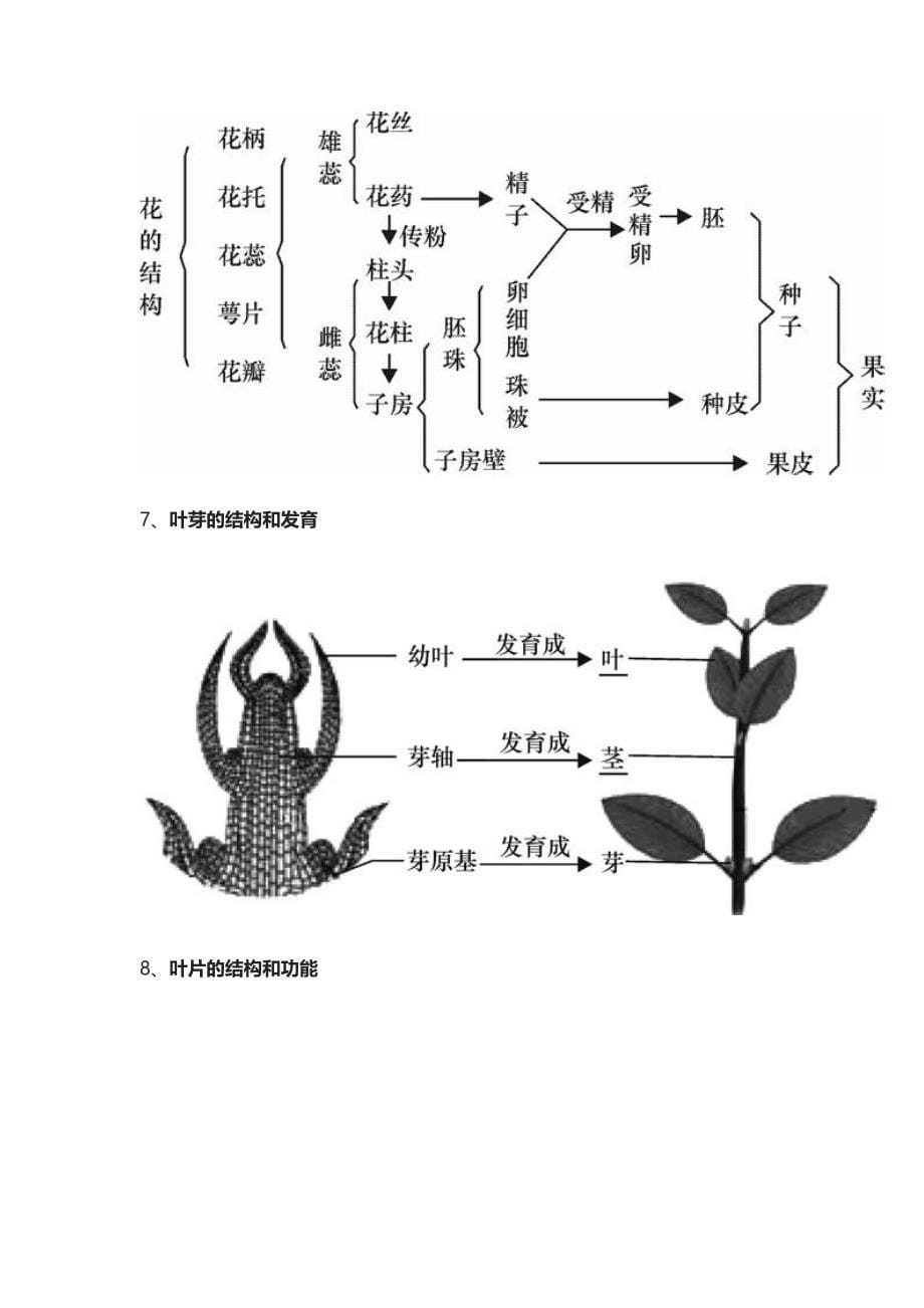 (全)初中生物-识图题-常用结构示意图_第5页