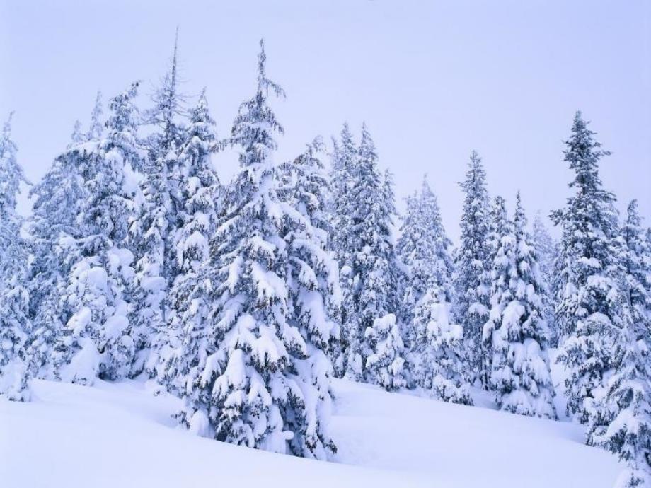 [小六语文课件]《第一场雪》-《第一场雪》_第4页