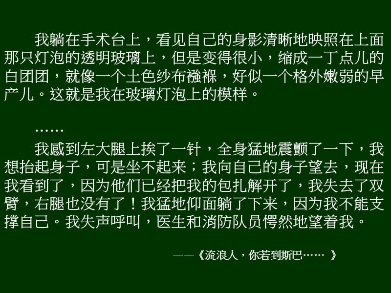 高二语文 第5单元《在桥边》2 新人教版选修《外国小说欣赏》_第2页