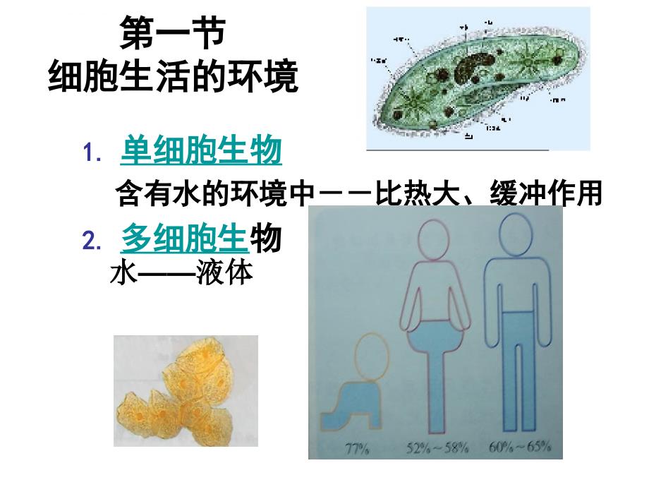 [文科会考]参与福建生物会考考纲编写老师的PPT：必修3第1章人体的内环境与稳态复习课件_第1页