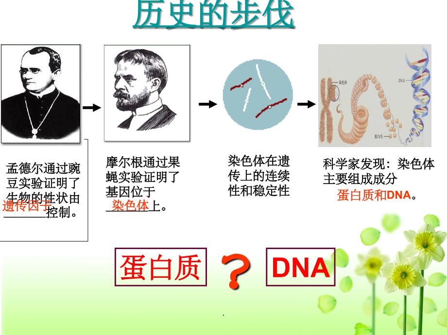 DNA是主要的遗传物质最新版本ppt课件_第2页