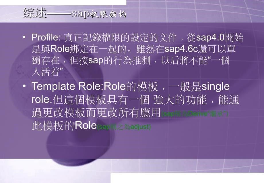 SAP权限的设定课件_第5页
