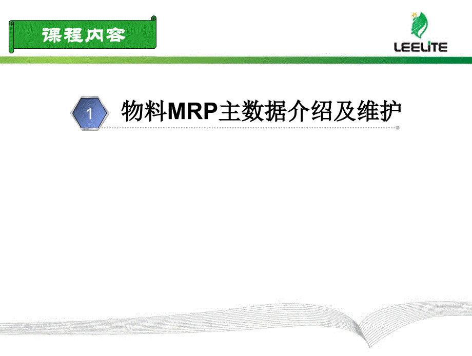 SAP主数据MRP视图了解及维护课件_第2页