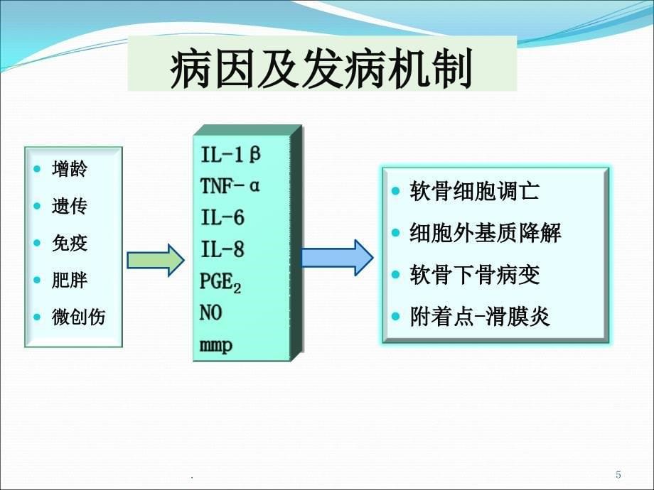 骨关节炎-最新ppt课件_第5页