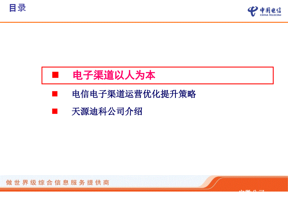 中国电信电子渠道升级方案精编版_第2页