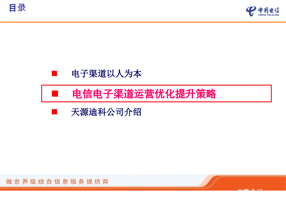 中国电信电子渠道升级方案精编版_第4页