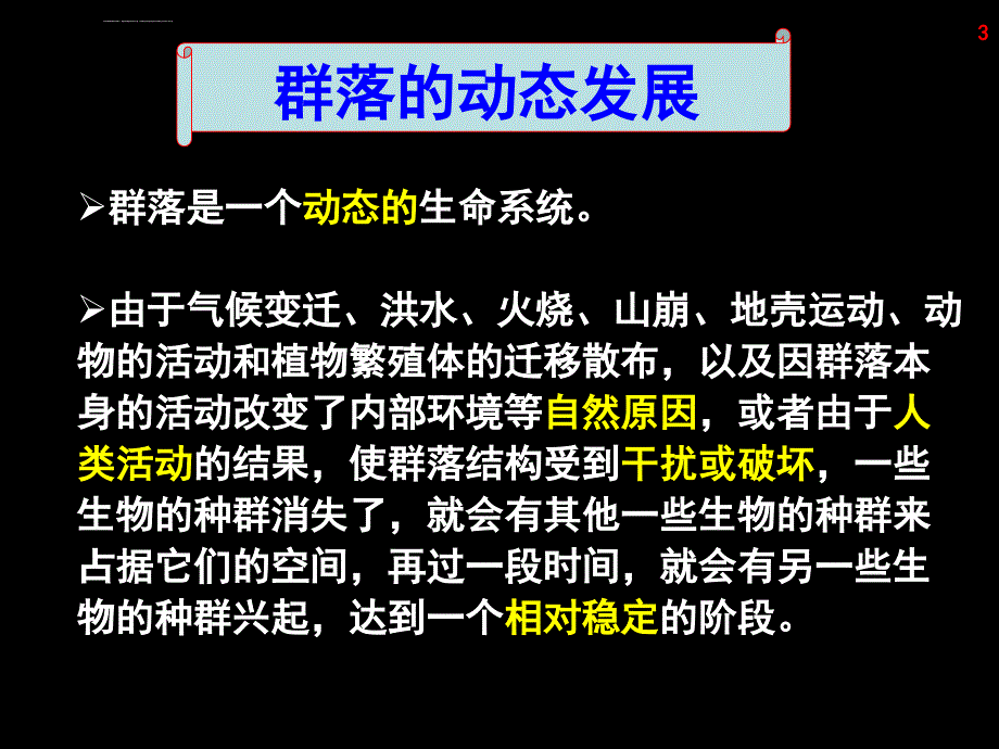 vb群落的演替课件_第3页