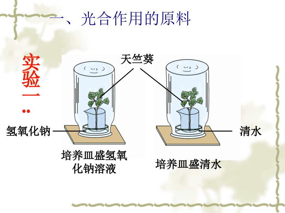 秋八级生物上册 第三单元 第三章 第二节 光合作用的原料课件 （新）冀教_第3页