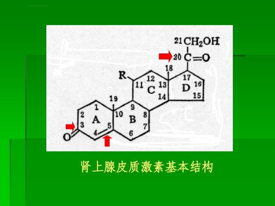 [医学]肾上腺皮质激素类药物课件_第5页