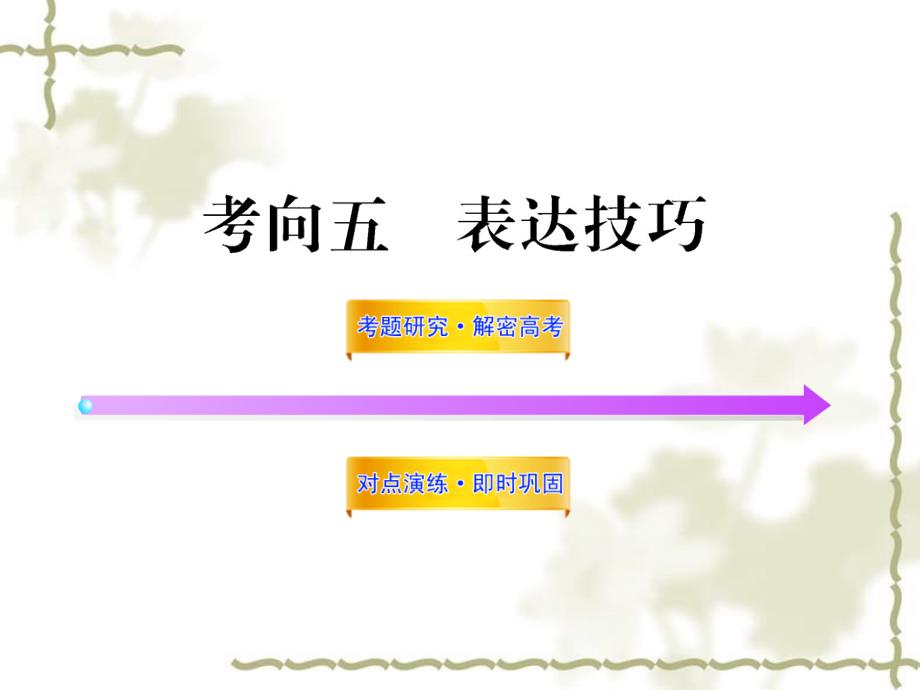 高中语文全程复习方略 3.2.2.5 表达技巧课件 新人教版 （湖南专用）_第1页