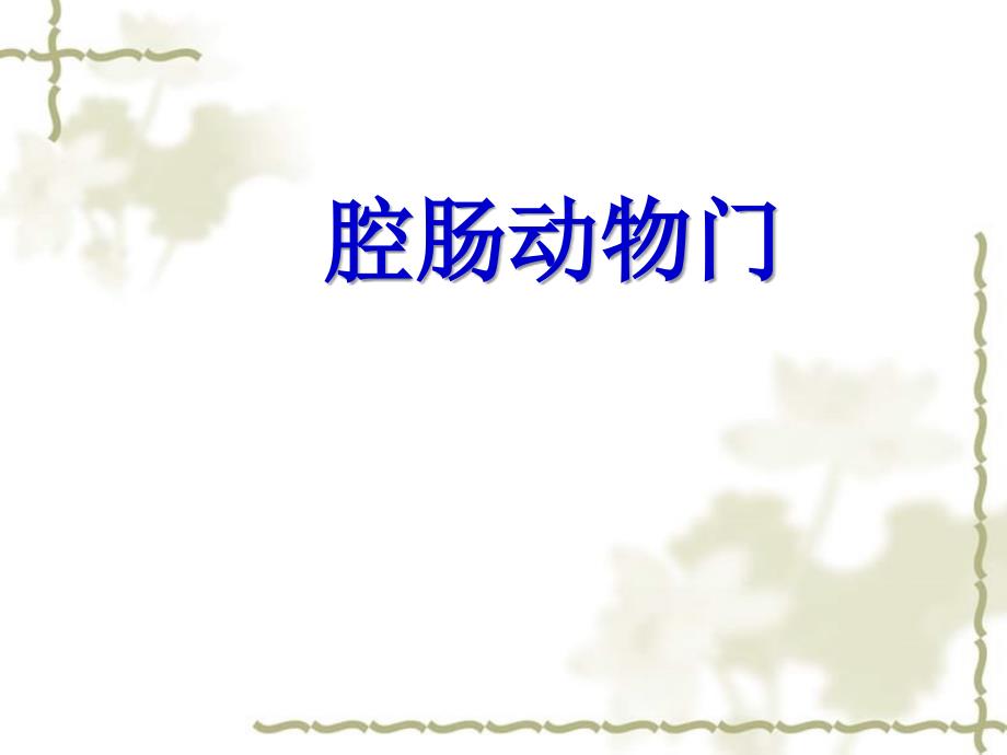 黑龙江省哈尔滨市第四十一中学八级生物上册 第五单元 1.1 腔肠动物门课件 （新）新人教版_第1页