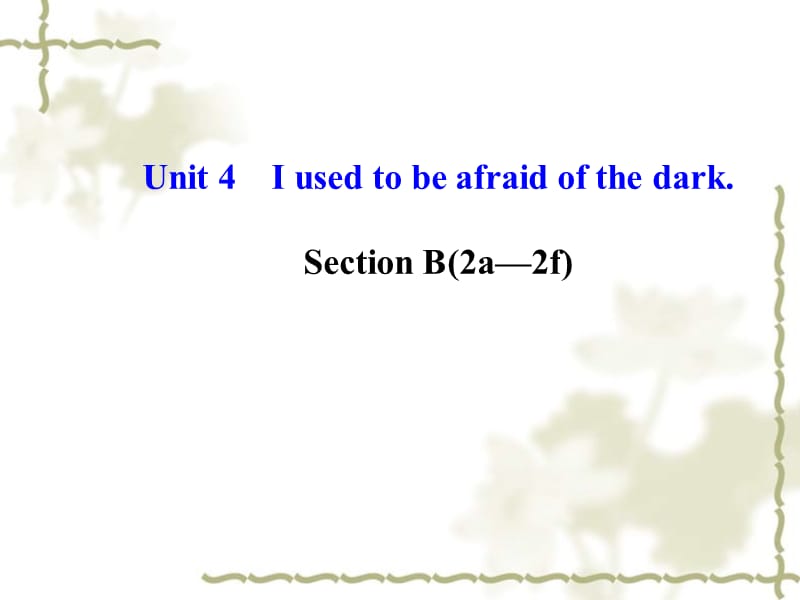 河北省东光县第二中学九级英语全册 Unit 4 I used to be afraid of the dark Section B（2a2f）课件 （新）人教新目标_第1页