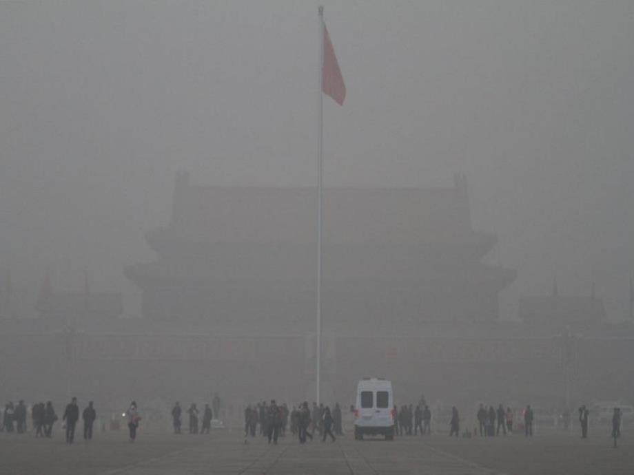 广西桂林市永福县三皇乡三皇中学八级语文上册 18 雨林的毁灭课件 语文_第2页