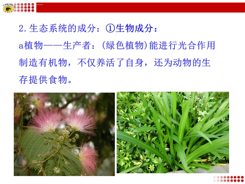 甘肃省兰州市第十九中学初中生物苏教版八年级上册第七单元第十九章第1节 生态系统的组成 课件_第5页