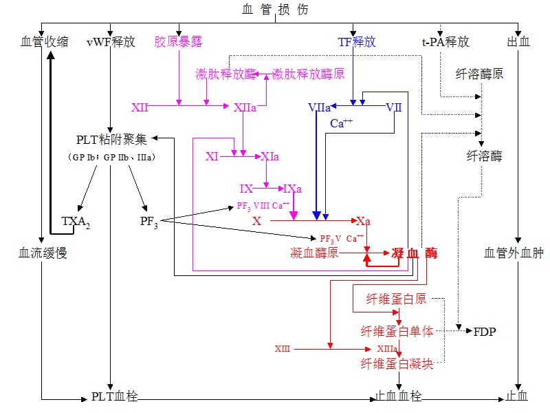 三十个血液病课件-弥 散性血管内凝血_第3页