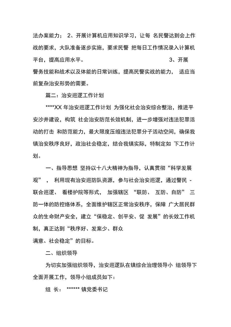 202X年巡警大队工作计划_第3页