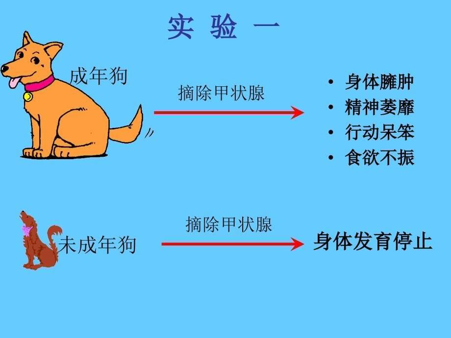 七年级生物下册3.5.1 人体的激素调节课件(新版)济南版_第5页