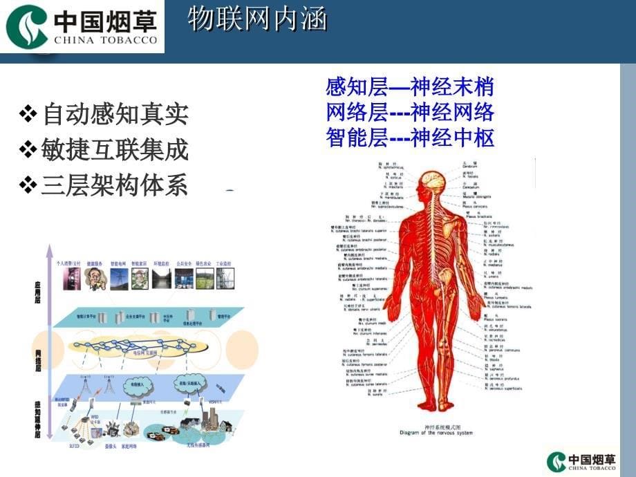 {烟草行业管理}第二专题—烟草行业物联网技术应用研究与发展展望_第5页