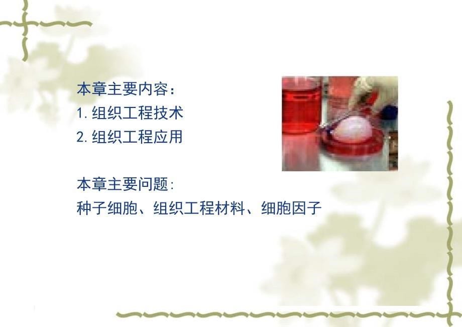 {企业组织设计}组织工程PPT46页_第5页