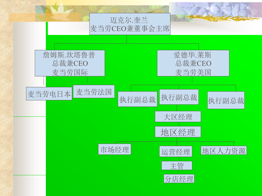 {企业组织设计}组织设计组织的基础概念ppt951_第2页