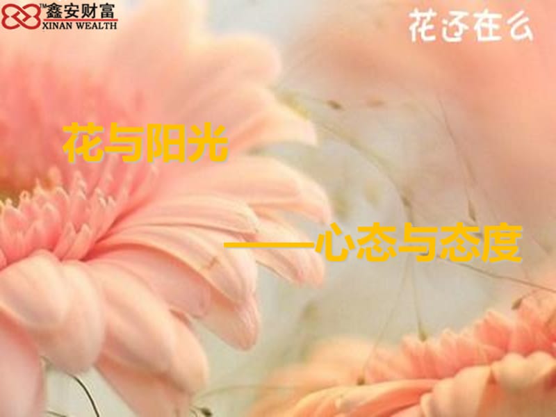 花与阳光心态与态度——薛珊鑫安财富教学讲义_第1页