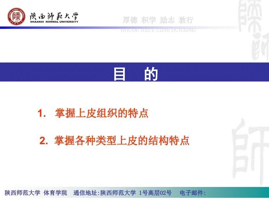 {企业组织设计}12人体组成的结构基础上皮组织ppt_第5页