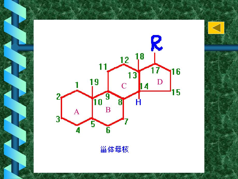 第九章甾体类化合物课件_第3页