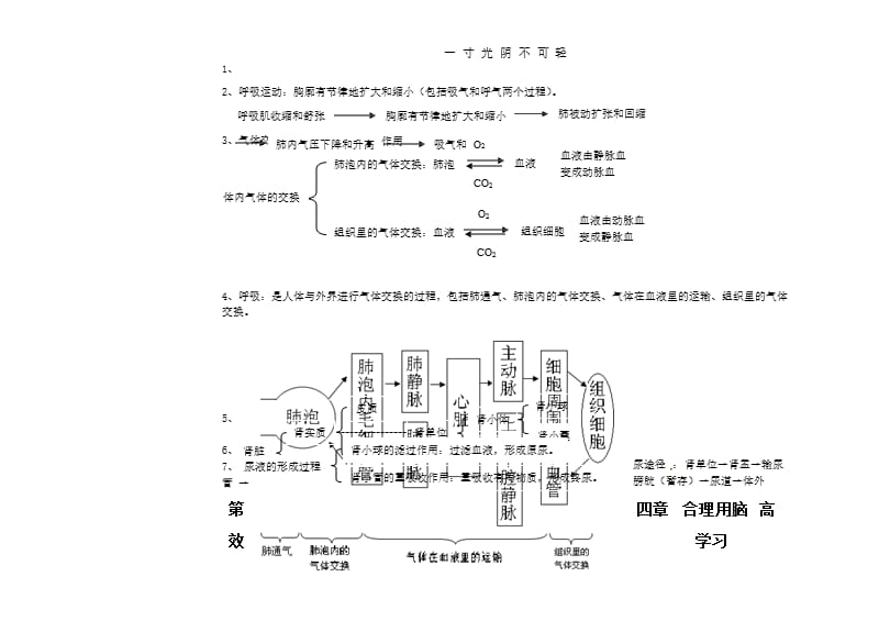 七年级生物下册知识点冀教版（2020年8月整理）.pptx_第5页