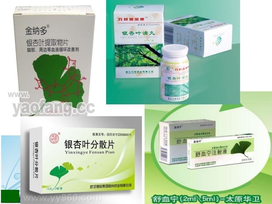 {医疗药品管理}新药研发和注册管理_第5页