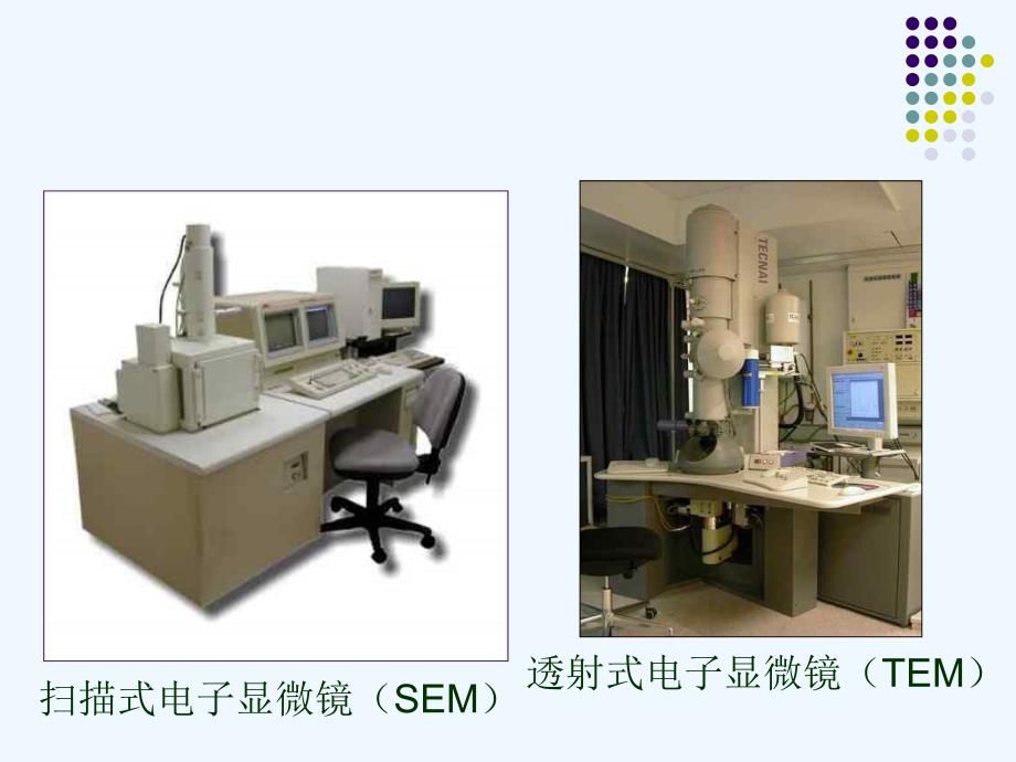 第二单元第一章第一节练习使用显微镜课件_第4页