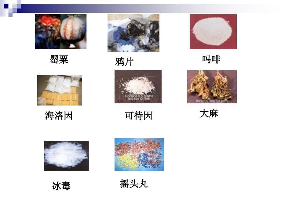 {医疗药品管理}12镇痛药09_第5页