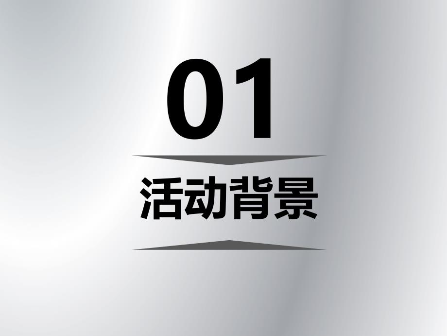 {企业上市筹划}比速T5终端上市活动_第3页