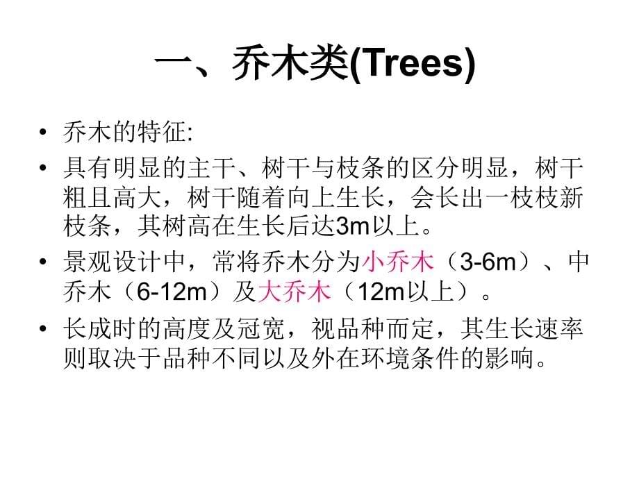 {园林工程管理}园林植物类别与特点_第5页