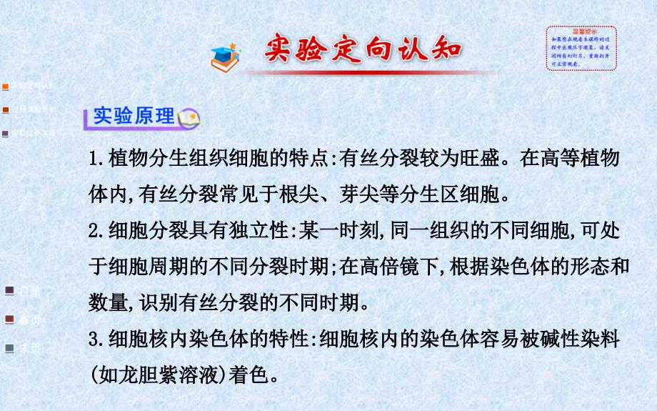 {企业组织设计}观察根尖分生组织细胞的有丝分裂_第2页