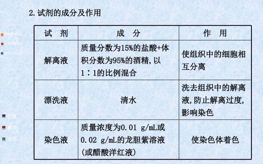 {企业组织设计}观察根尖分生组织细胞的有丝分裂_第4页