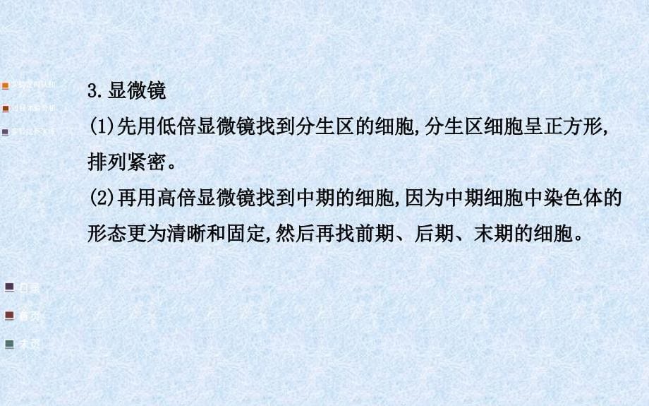 {企业组织设计}观察根尖分生组织细胞的有丝分裂_第5页