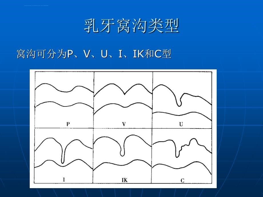 第三章牙的解剖形态与组织结构特点课件_第5页