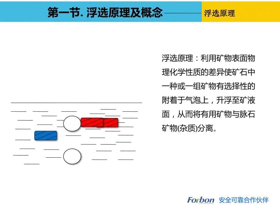 {冶金行业管理}磷矿石浮选简介_第5页