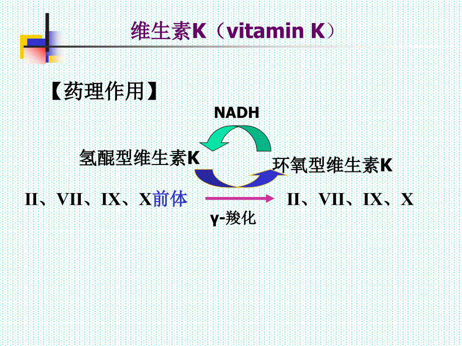 {医疗药品管理}血液与造血系统用药_第4页