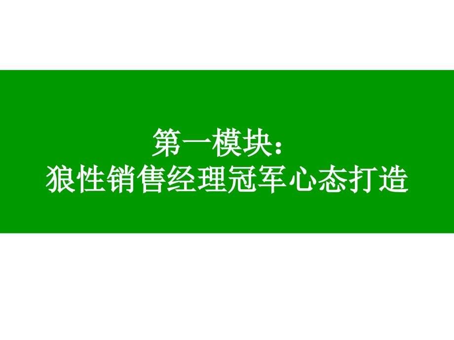 {企业团队建设}打造高绩效狼性营销团队_第5页