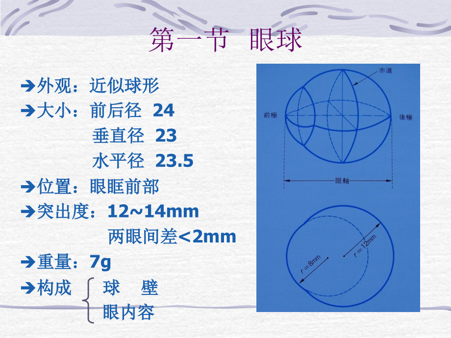 {企业组织设计}眼的解剖与组织学_第3页