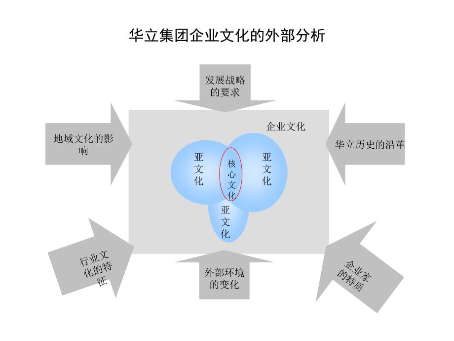 {企业文化}华立企业文化诊断_第3页