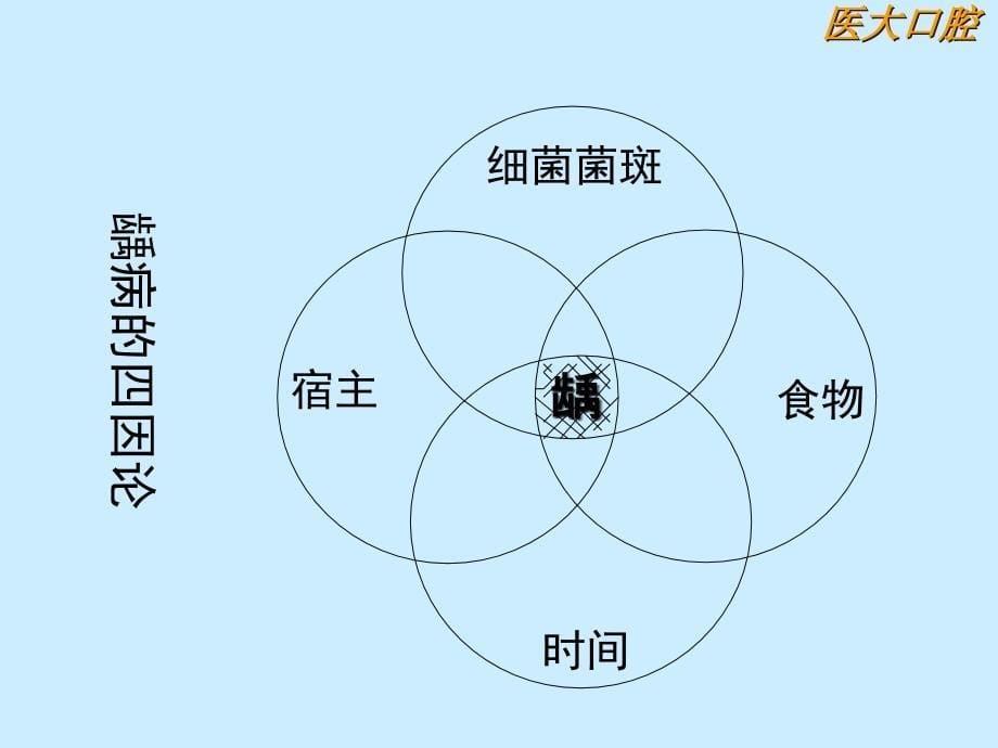 {企业管理诊断}第1讲龋病病因临床表现诊断鉴别诊断_第5页